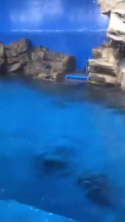 Bro Was Supposed To Be The Main Event……….