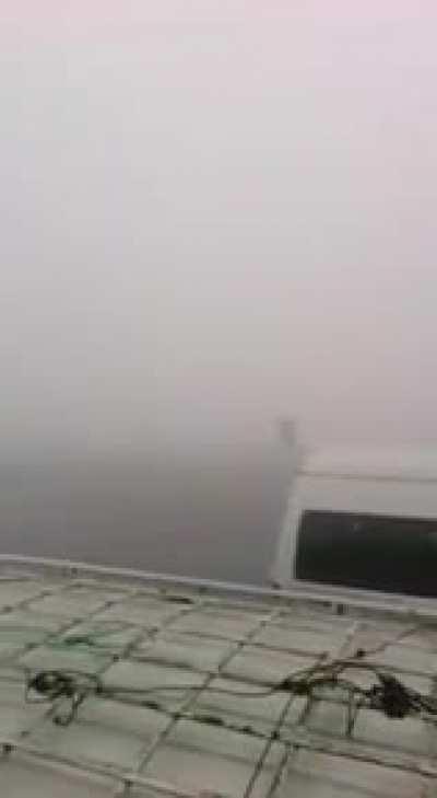 There is a heavy fog in Egypt and cars are crashing