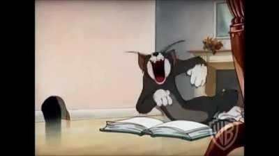 Mi pana Tom leyendo el libro de los derechos de la mujer