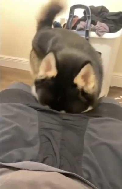 I must say that it made me flinch too