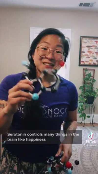 Happy bicycle day! Here’s a quick overview of why the LSD molecule makes you trip - safe travels today everyone!