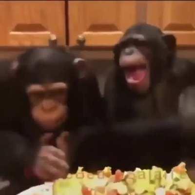 It's funky monkey friday everyone yeeeeaaAAAAAA