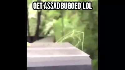 An interesting title