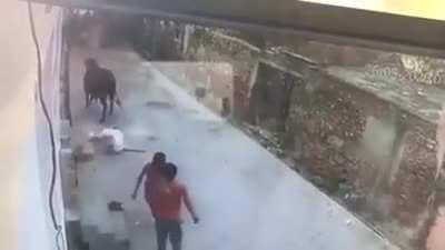 Bull not dealing with this guys bullshit