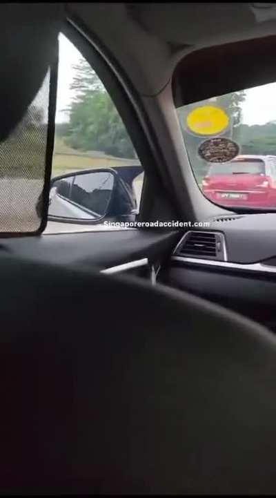 A runaway horse was seen weaving through lanes and halting traffic as it galloped on the Bukit Timah Expressway. 