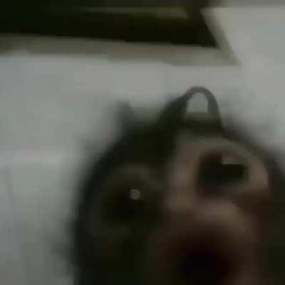 [Source/Template] ANGER