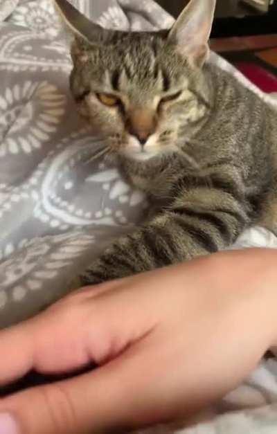 Sweet baby time ☺️