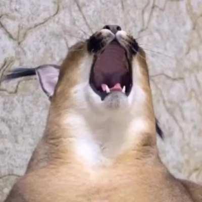 Floppin and scratchin