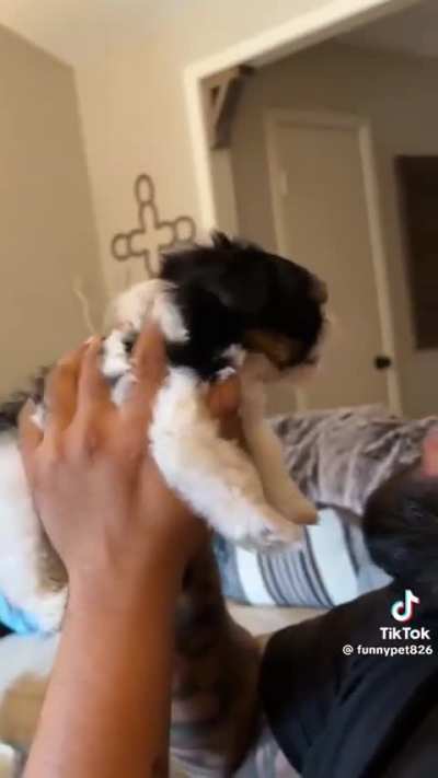 That's anything but holy.