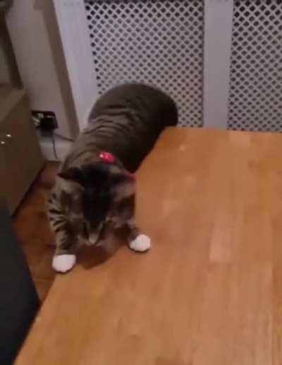 WCGW When you're trying to flirt.