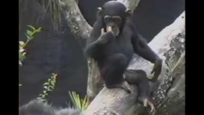 Little guy learns a valuble life lesson