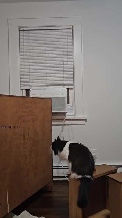 You can do it, Asami!