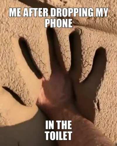 Big poop 💩💩💩💩💩💩💩💩💩💩💩💩💩