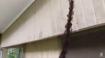 Thanks, I hate living rope