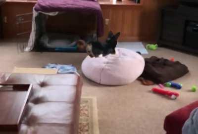 Slow motion stunt jump