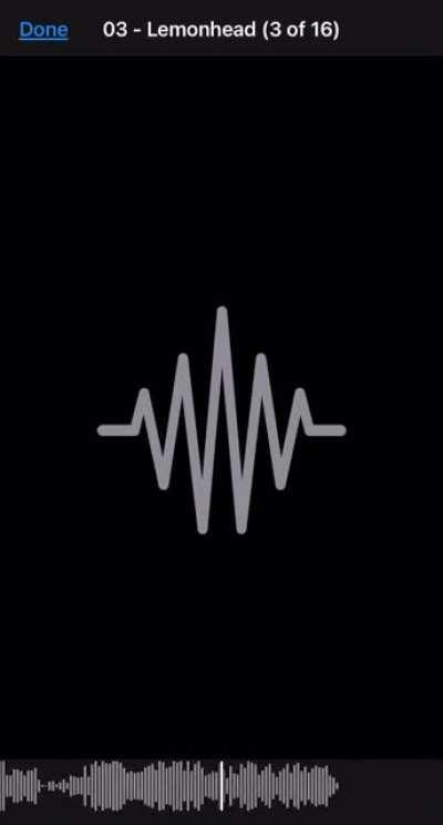 Frank Talking at the end of LemonHead