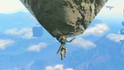 The Legend of Zelda: Damage to the Brain