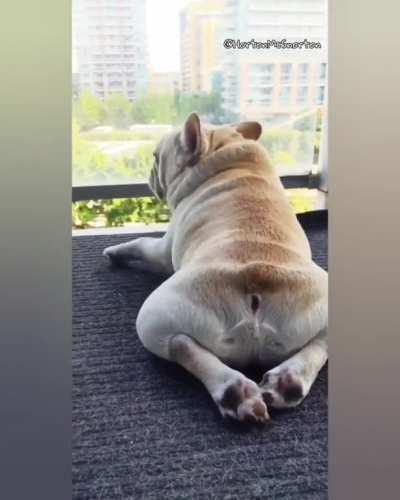 [oc] only disturb if you have snacks