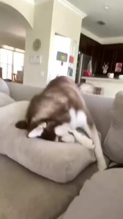 “You won’t let me do anything”