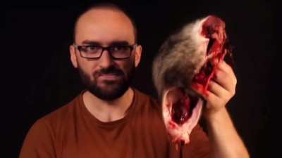 Vsauce, roadkill here