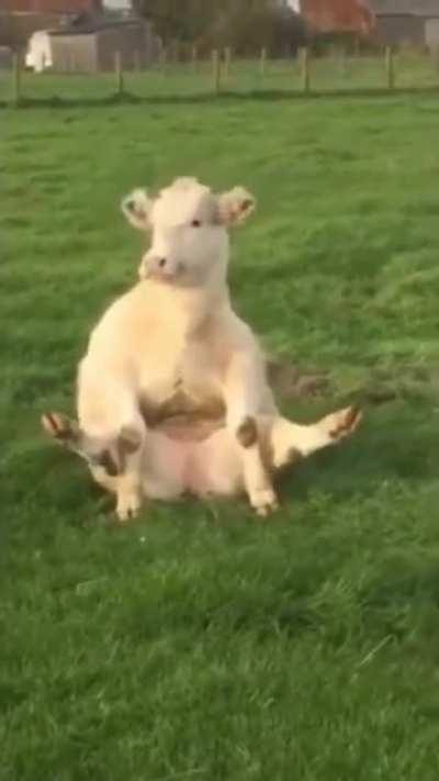 When you’ve got a itch that needs scratching & you got to find a way 😂