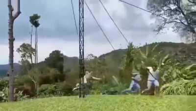 Tarzanning with the dudes