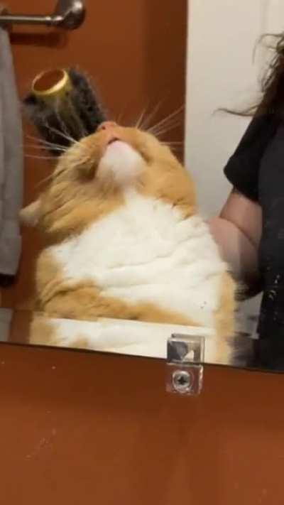 He insists I keep going