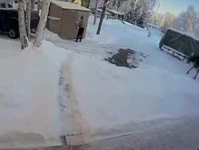 Moose will mess you up