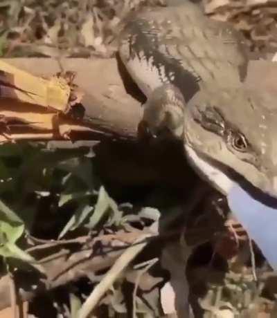 Сотрудник месяца фабрики троллей