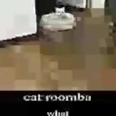 Cat roomba ._.XD
