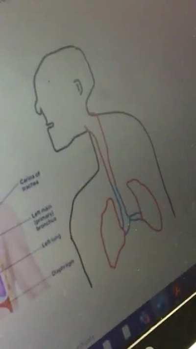 POV: your a science student