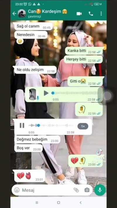 dedim sana sevme onu