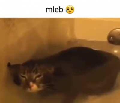 mleb 😥
