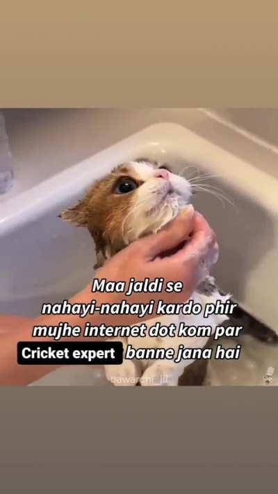 Average r/cricket member 