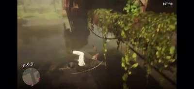 12 seconds of carnage