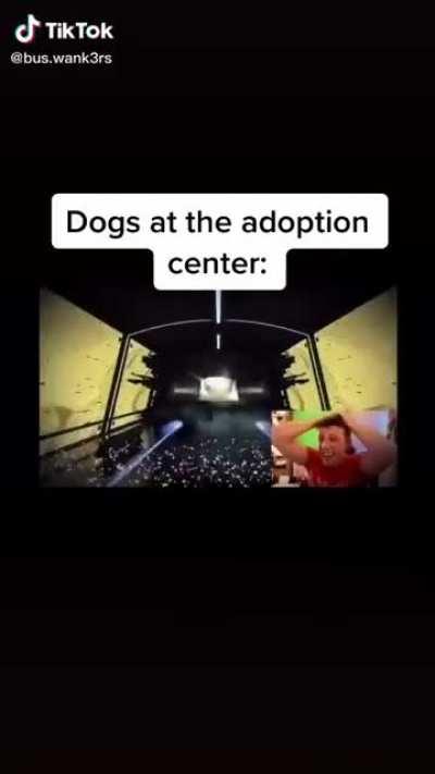 These edits are too much😂