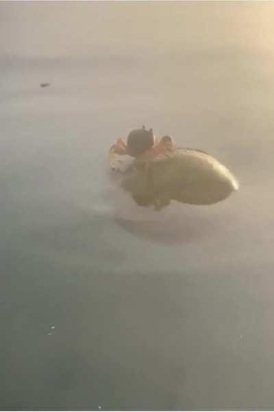 🔥 He has no destination, he goes wherever the wind takes him