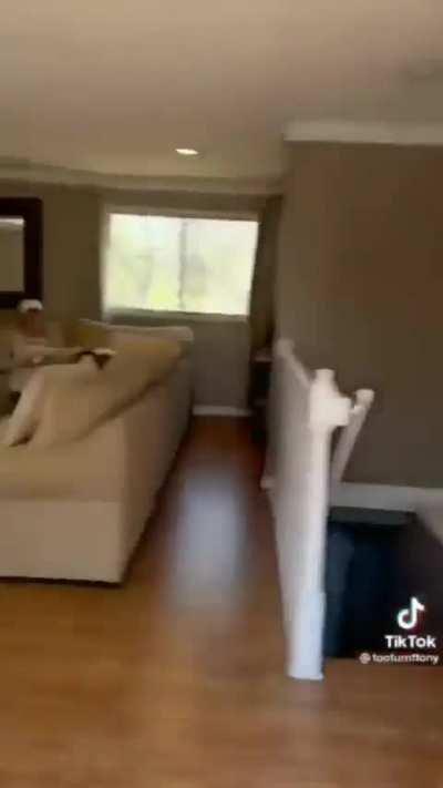 What's up with the duck? 