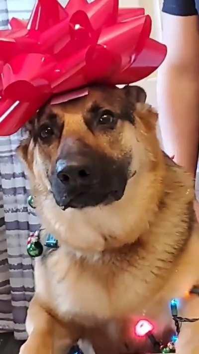 Couldn't help myself from posting it! ❤️❤️