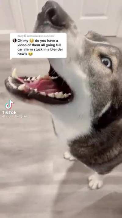 He is the main character clearly