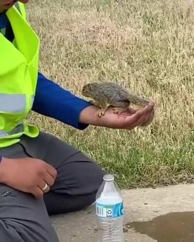 man watering a squirrel and becoming friends