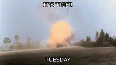 mein_park - Video #3449