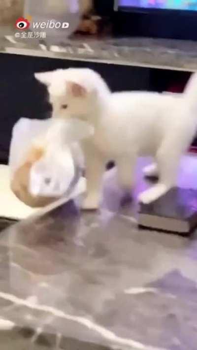 A robbery with a pointed-tail thief