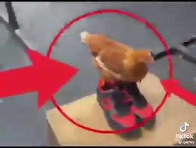 Couldn’t see that drippy chicken without that ⭕️