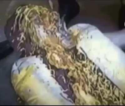 cursed_hotdog