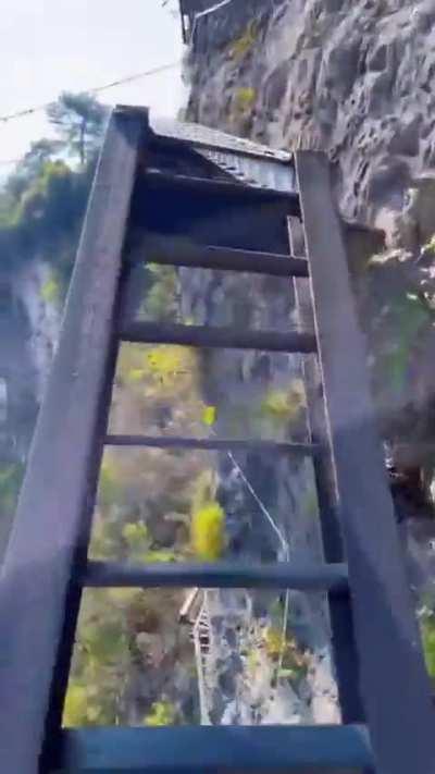 Nice relaxing walk anyone?