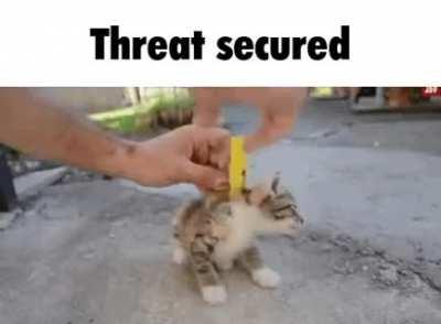 cOnViCTeD wAr CriMiNaL pUbLicLy EXeCuTeD fOr gENoCiDe