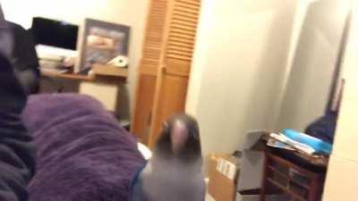 beep beep comin’ through