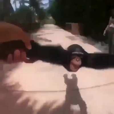 Monke spin