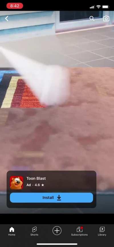 Toon blast bear orgasm